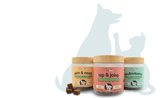 Suppléments probiotiques et de santé intestinaux pour chiens et chats