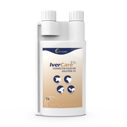 Ivermectine Solution Pour-On (1 bouteille)