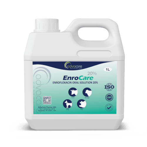 Solution Orale d'Enrofloxacine (1 bouteille)