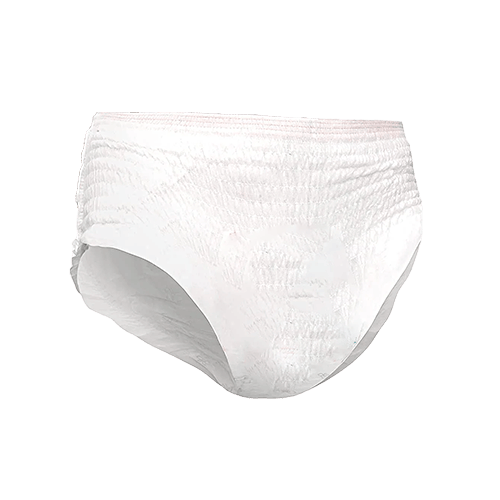 Disposable Period Panties (1 piece)