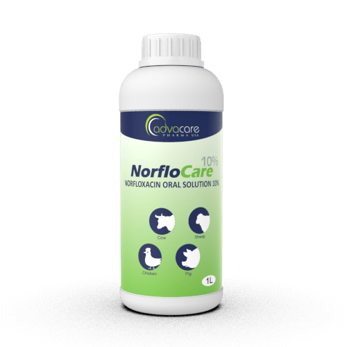Norfloxacino Solución Oral (1 botella)