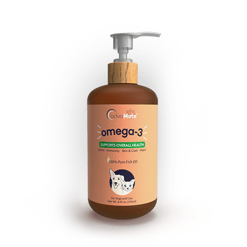 Omega-3 Fish Oil (1 bottle)