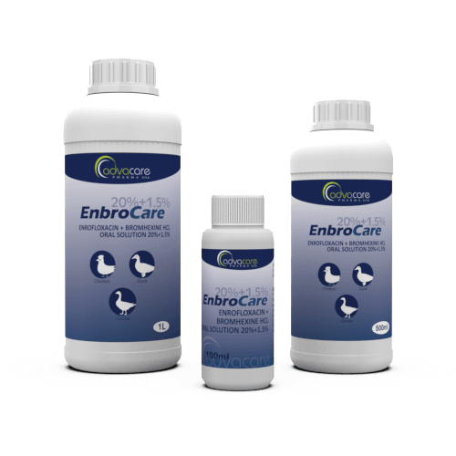 Solución Oral de Enrofloxacina + Bromhexina HCl (100ml botella, 500botella de ml y 1botella de L)