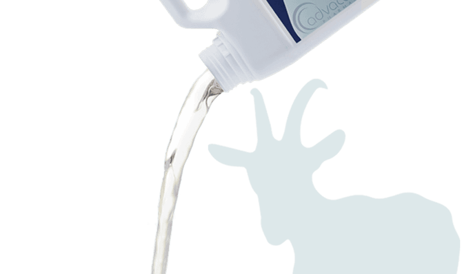 Veterinary Pour-on Solutions