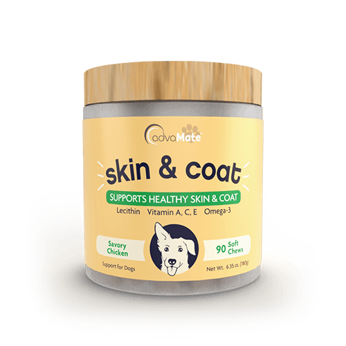 Skin & Coat Soft Chews (1 bottle)