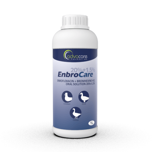 Enrofloxacine + Bromhexine HCL Solution Orale  (1 bouteille)