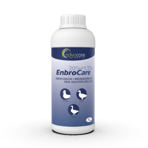 Solución Oral de Enrofloxacina + Bromhexina HCl (1 botella)