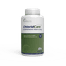 Comprimés de Chlorpropamide (flacon de 1000 comprimés)