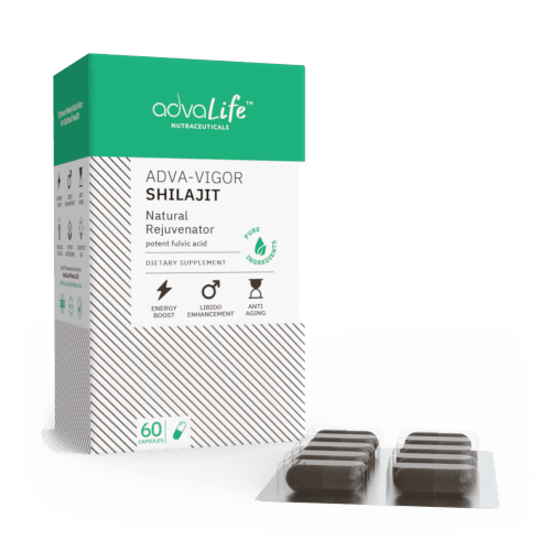 Capsules de Shilajit (1 boîte et 1 blister)