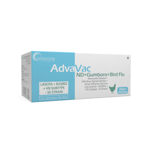 Newcastle Disease + Infectious Bursal Disease + Avian Influenza Vaccine (box of 1 vial)