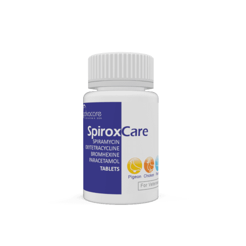 Comprimés de Spiramycine + Oxytétracycline + Bromhexine + Paracétamol (bouteille de 100 comprimés)