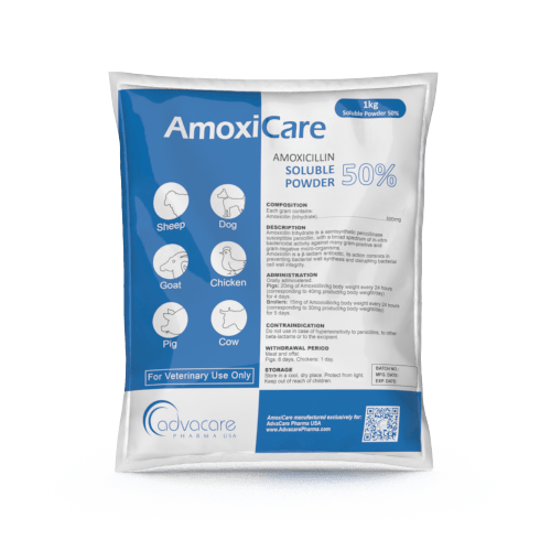 Amoxicilina Polvo Soluble (1 bolsa)