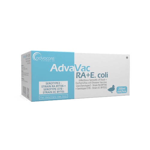 Infectious Serositis of Duck + Escherichia Coli Disease Vaccine (box of 1 vial)