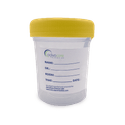 Coupe d'échantillon Urine (avant)