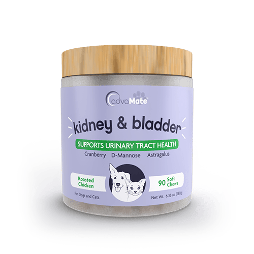 Kidney & Bladder Soft Chews (1 bottle)