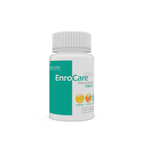 Comprimidos de Enrofloxacino (botella de 100 comprimidos)