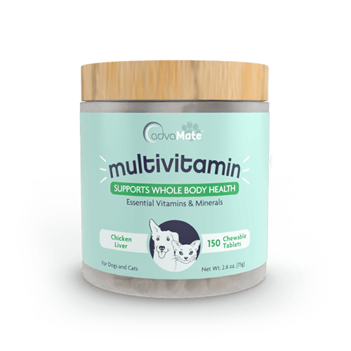 Multivitamin Chewable Tablets (1 bouteille)