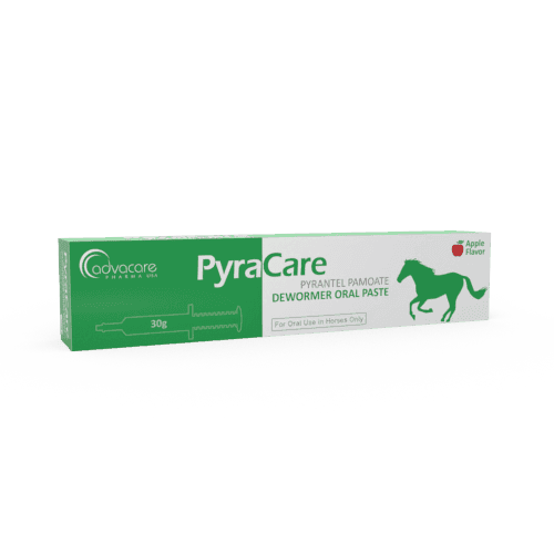 Pyrantel Pamoate Pâte Orale (boîte de 1 seringue)