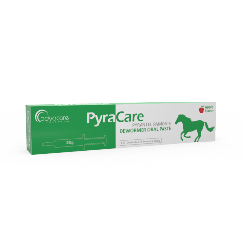Pyrantel Pamoate Oral Paste (box of 1 syringe)