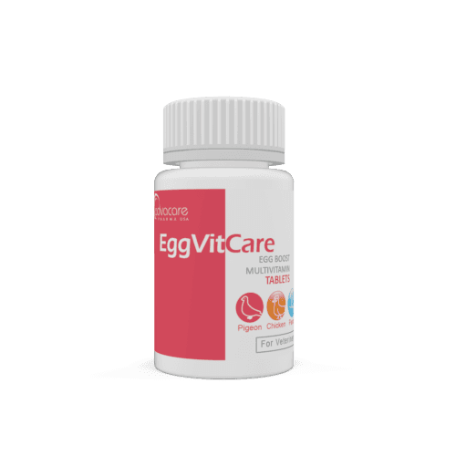 Comprimés Multivitamines Egg Boost (bouteille de 100 comprimés)