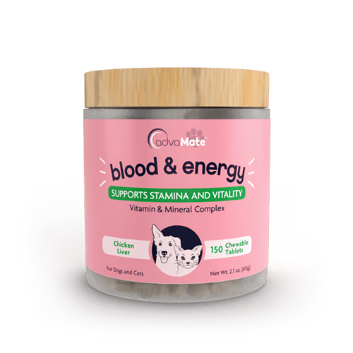 Blood & Energy Chewable Tablets (1 bouteille)