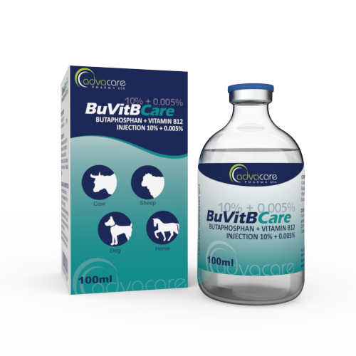 what does a b12 injection do for a dog What kind of B12 shots do you use for your dog and what is the dosage? main image 0