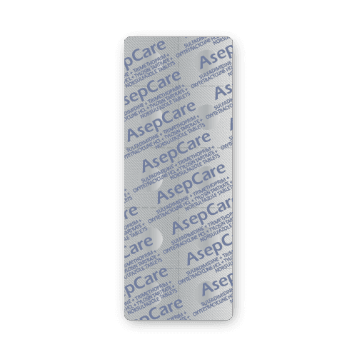 Comprimés de Sulfadimidine + Triméthoprime + Oxytétracycline HCl + Tartrate de Tylosine + Norsulfazole (plaquette de 10 comprimés)