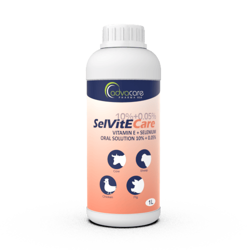 Vitamine E + Sélénium Solution Orale (1 bouteille)