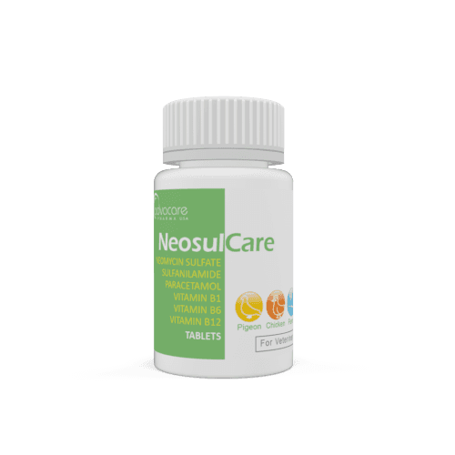Comprimés de Sulfate de Néomycine + Sulfanilamide + Paracétamol + Vitamine B1 + Vitamine B6 + Vitamine B12 (bouteille de 100 comprimés)