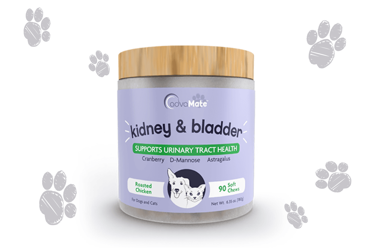 AdvaMate Kidney & Bladder soft chews for dogs and cats with cranberry and D-Mannose