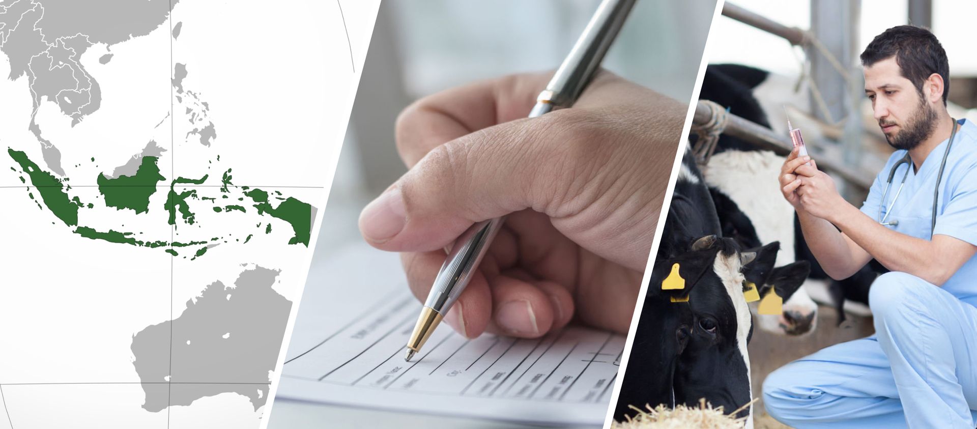 Registro de Medicamentos Veterinarios en Indonesia