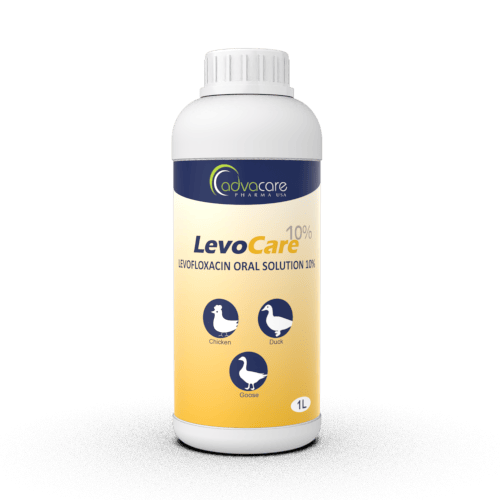 Levofloxacino Solución Oral (1 botella)