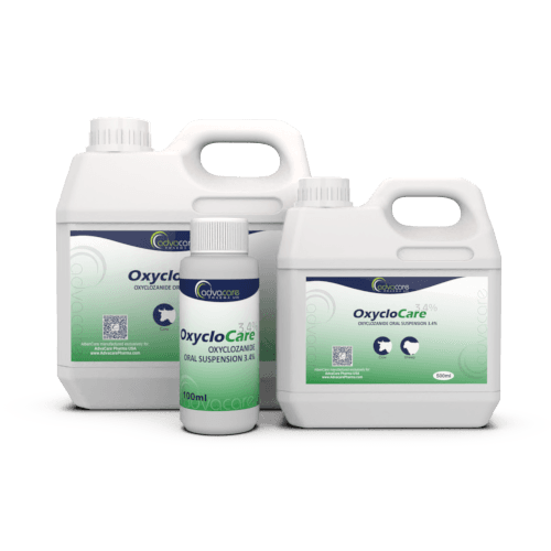 Oxyclozanide Oral Suspension (100ml bottle, 500ml bottle and 1L bottle)