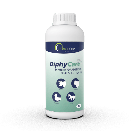 Clorhidrato Difenhidramina Solución Oral (1 botella)