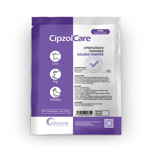 Ciprofloxacin + Tinidazole Soluble Powder (1 bag)