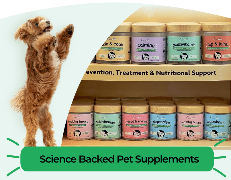 Pots de compléments pour animaux AdvaMate basés sur la science sur des étagères avec un petit chien debout sur ses pattes arrière.