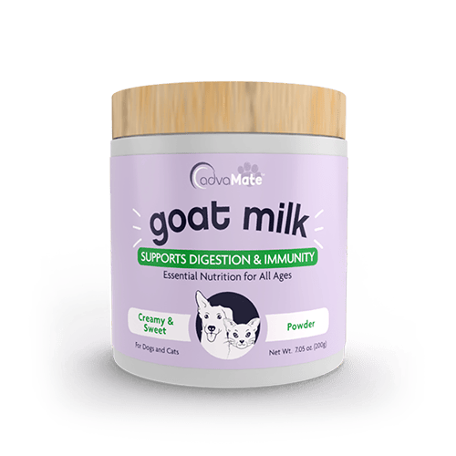 Goat Milk Powder (1 bottle)