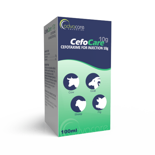 Cefotaxime for Injection (box of 1 vial)
