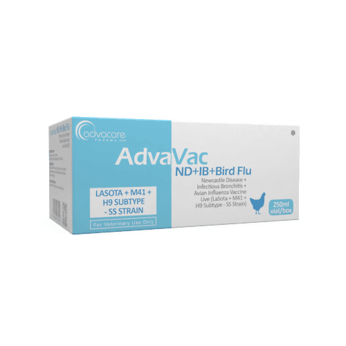 Vacuna contra la Enfermedad de Newcastle + Bronquitis Infecciosa + Influenza Aviar (caja de 1 vial)