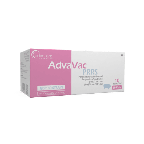 Porcine Reproductive and Respiratory Syndrome (PRRS) Vaccine (box of 10 vials)