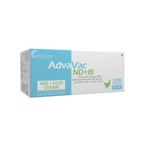 Enfermedad de Newcastle (ND)