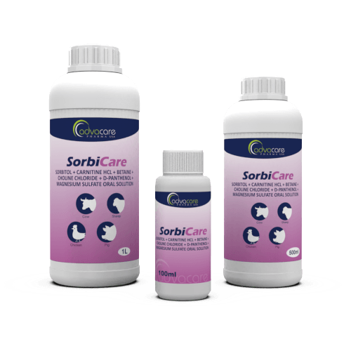 Sorbitol + Carnitine HCl + Betaine + Choline Chloride + D-Panthenol + Magnesium Sulfate Oral Solution (100ml bottle, 500ml bottle and 1L bottle)