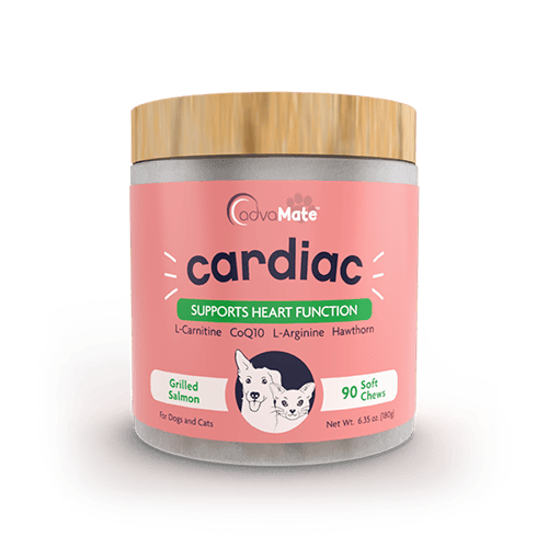 Cardiac Soft Chews (1 bottle)