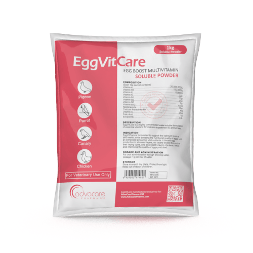 Multivitamínico para Incremento Produccion de Huevos Polvo Soluble (1 bolsa)