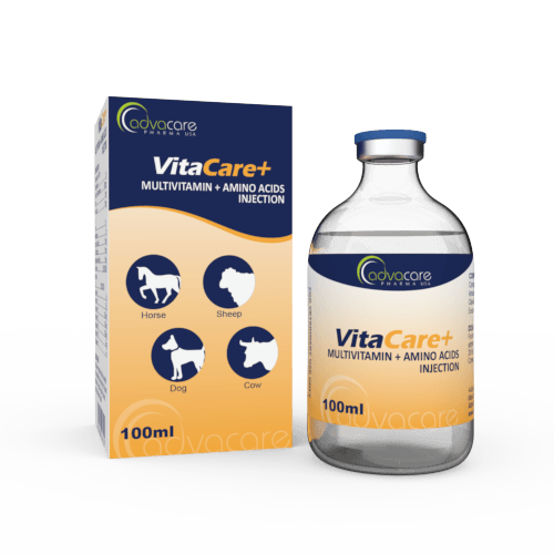 Canine folic acid dosage online
