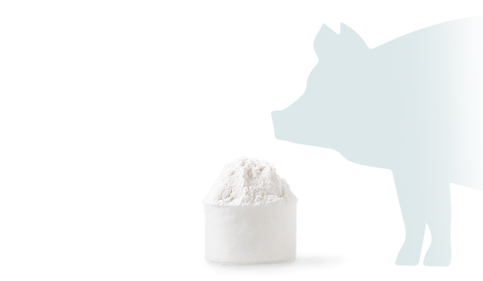 Veterinary Powders and Premixes