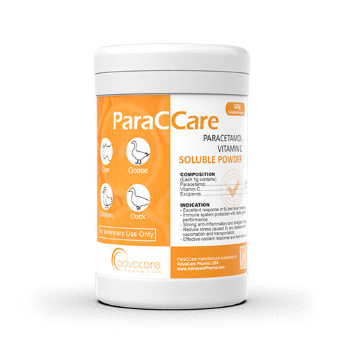 Paracetamol + Vitamina C Polvo Soluble (1 bolsa)