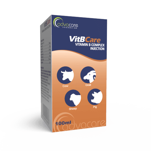 Inyección de Complejo de Vitamina B (caja de 1 vial)