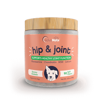 AdvaMate hip and joint soft chews for dogs.