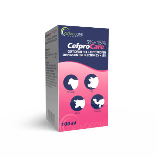 Ceftiofur HCL + Ketoprofen Suspension (box of 1 vial)